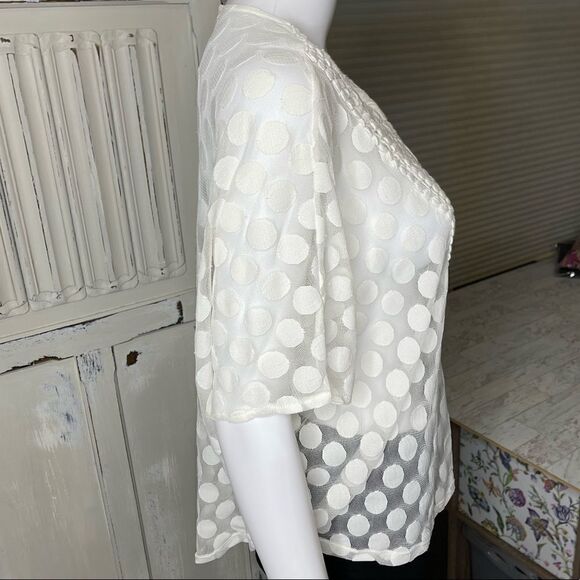 Alfani Off White Sheer Embroidered Neckline Pullover Blouse Top Size PM - Picture 7 of 12